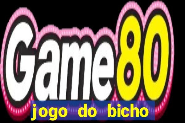 jogo do bicho crash bingo